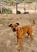 CATUXA Image 4